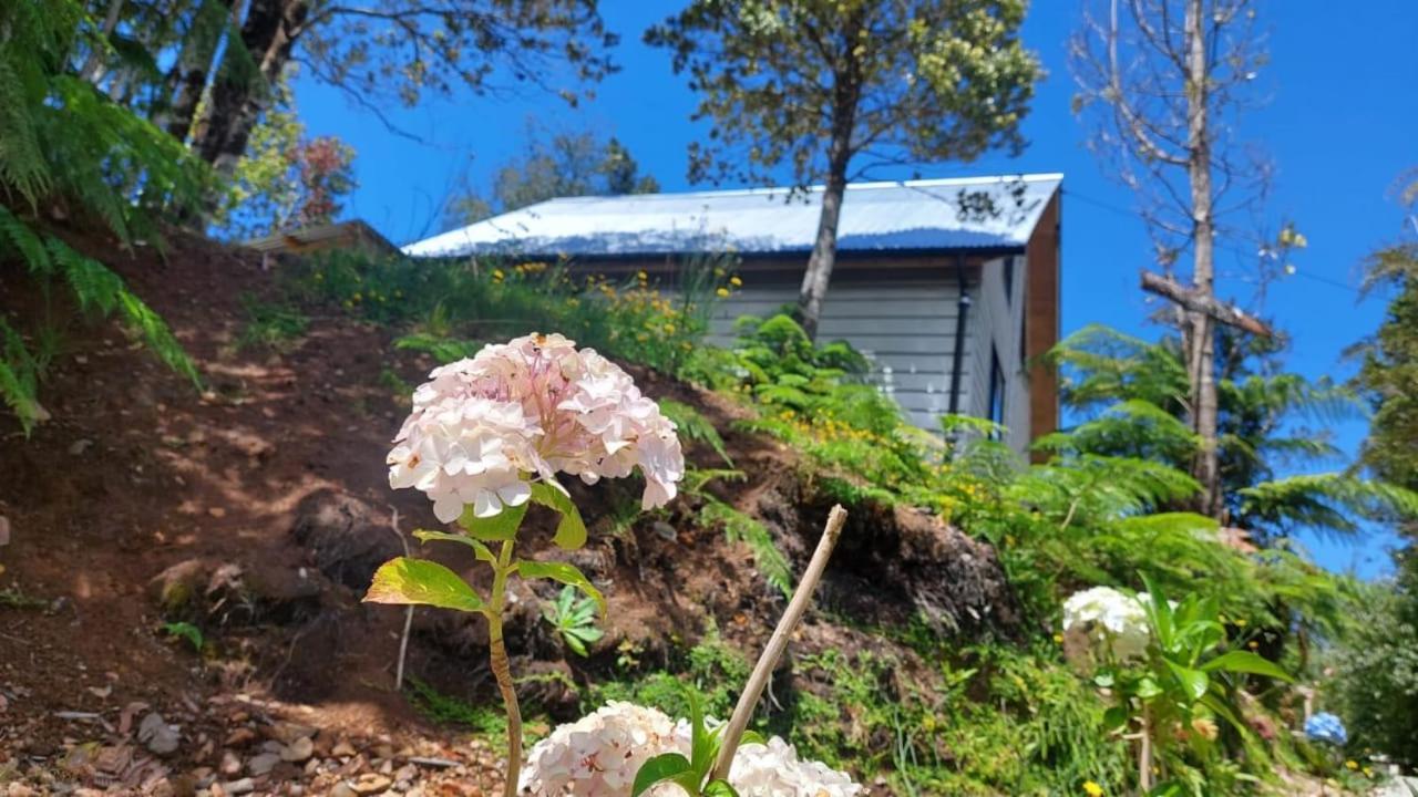 Cabanas & Habitaciones Del Alto 奥尔诺皮伦 外观 照片